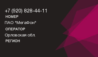 9208284411